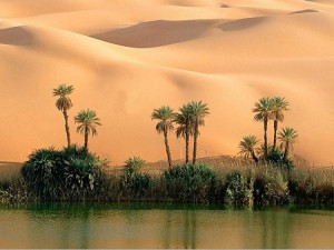 Um oásis no deserto