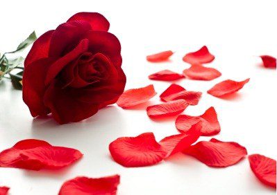 simpatia de amor com rosas